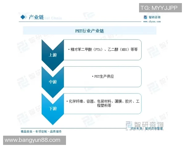 探索cbamvp在现代科技中的应用与发展前景分析