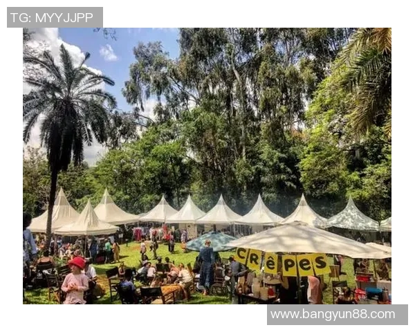 桥降之美：探索人与自然和谐共生的奇妙瞬间与深刻意义