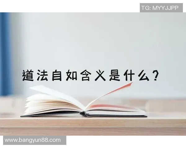 在顾全大局中寻求平衡与发展的智慧之道